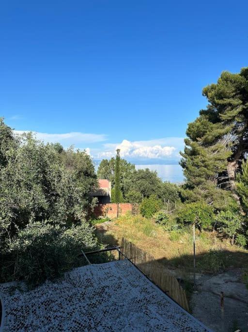 Olive Tree The Master Bed And Balcony