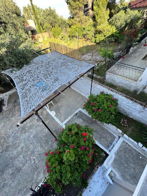 Apartment Olive Tree The Master Bed And Balcony Benitses (Corfu)